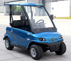 Carrito para 2 pasajeros